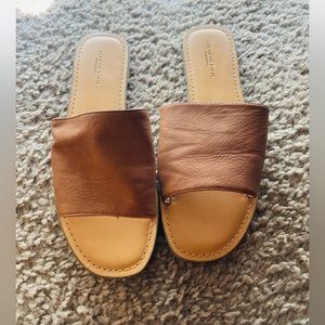 American eagle slides